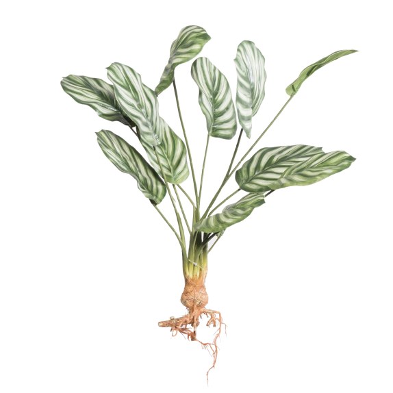 Supergreens Τεχνητή Χωνευτή Καλαθέα Orbifolia Πράσινη61 εκ.