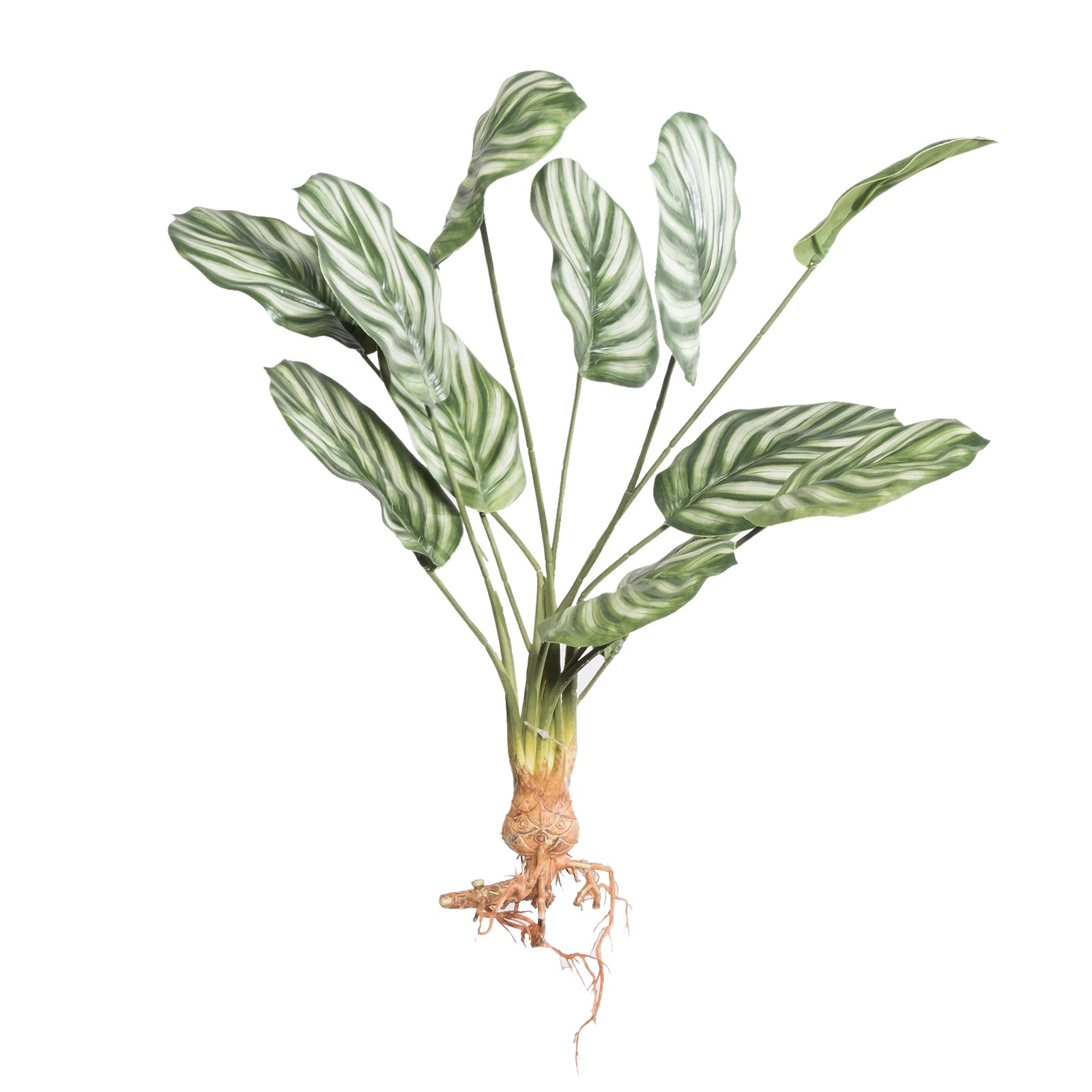 Supergreens Τεχνητή Χωνευτή Καλαθέα Orbifolia Πράσινη61 εκ.