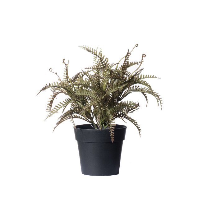 Supergreens Τεχνητό Φυτό Φτέρη Boston Πράσινο...