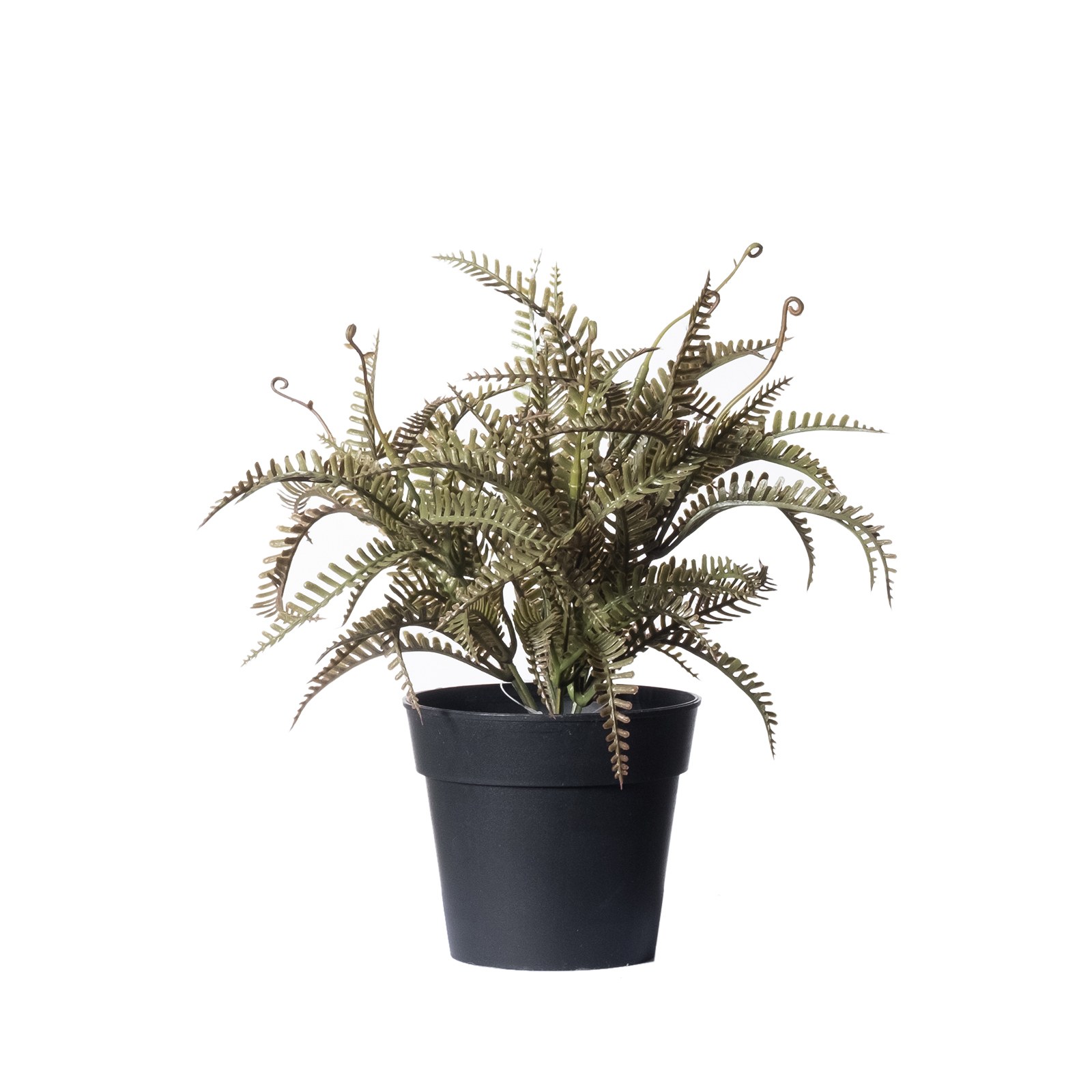 Supergreens Τεχνητό Φυτό Φτέρη Boston Πράσινο 23 εκ.