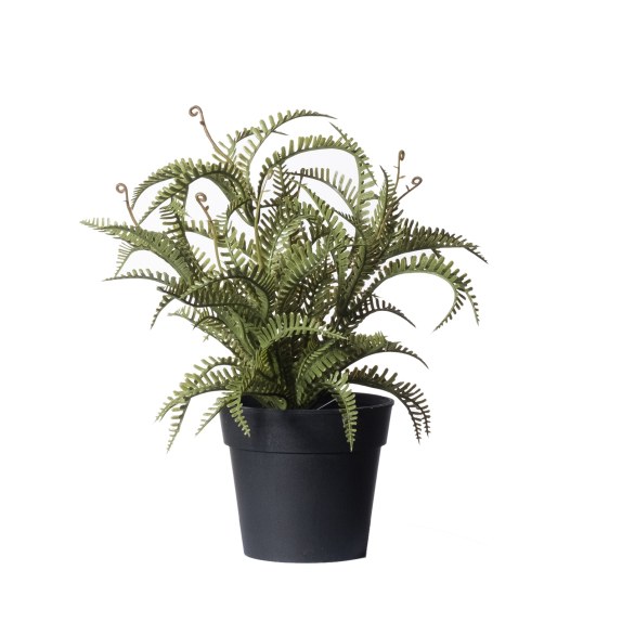 Supergreens Τεχνητό Φυτό Φτέρη Boston Δίχρωμη 23 εκ.