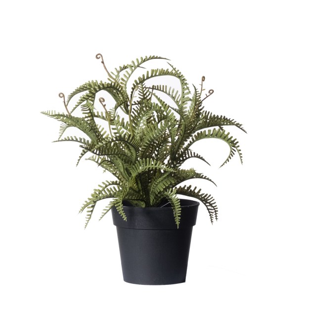 Supergreens Τεχνητό Φυτό Φτέρη Boston Δίχρωμη...