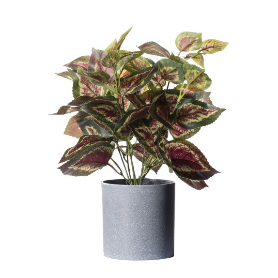 Supergreens Τεχνητό Φυτό Περίλλα Πράσινο 35 εκ.