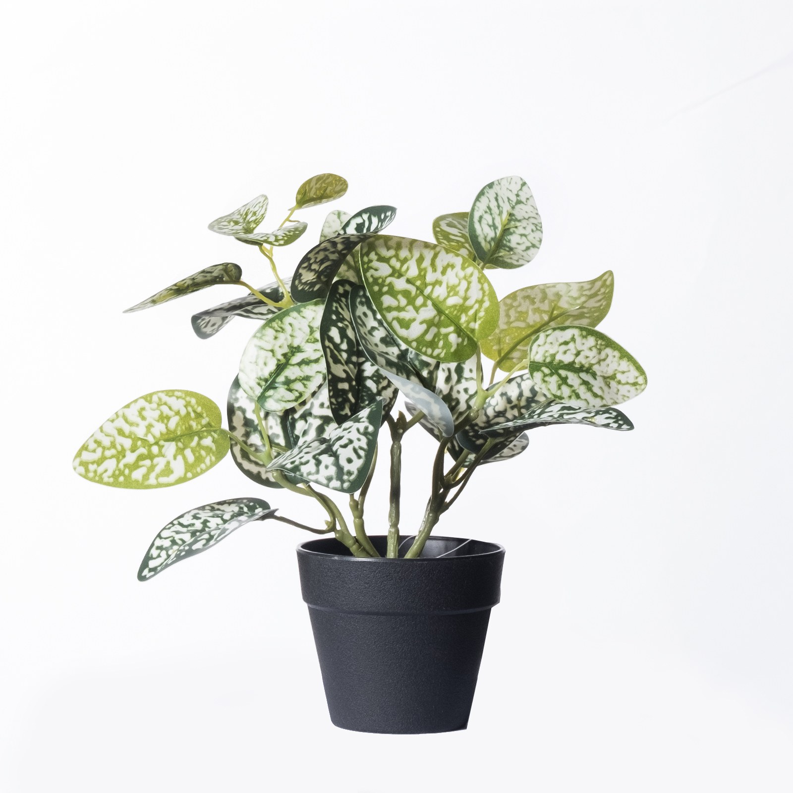 Supergreens Τεχνητό Φυτό Πόλκα Πράσινο 21 εκ.