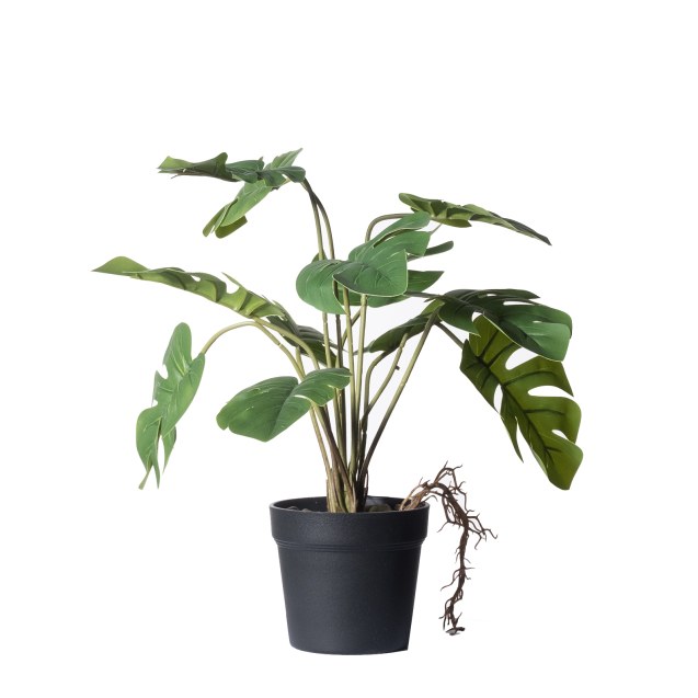 Supergreens Τεχνητό Φυτό Μονστέρα Minima...