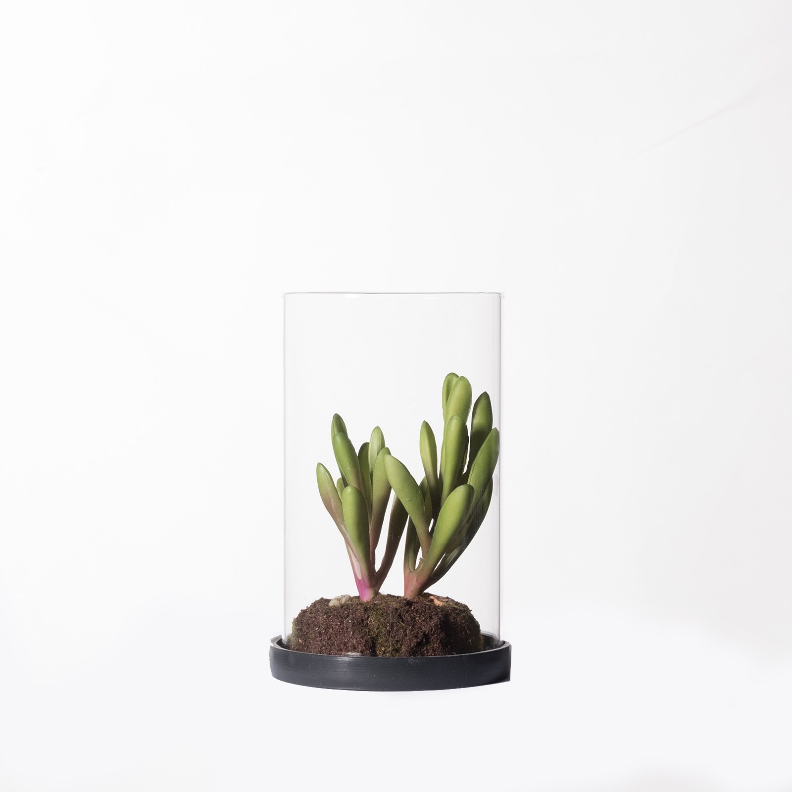 Supergreens Τεχνητό Φυτό Κρασούλα ''Skinny Fingers'' Πράσινο 15,5 εκ.