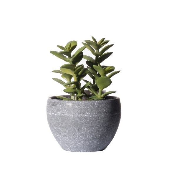 Supergreens Τεχνητό Φυτό Κρασσούλα Πράσινο 13.5 εκ.