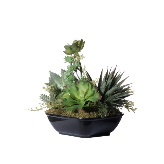 Supergreens Τεχνητό Φυτό Σύνθεση Παχύφυτων Πράσινο 19 εκ.