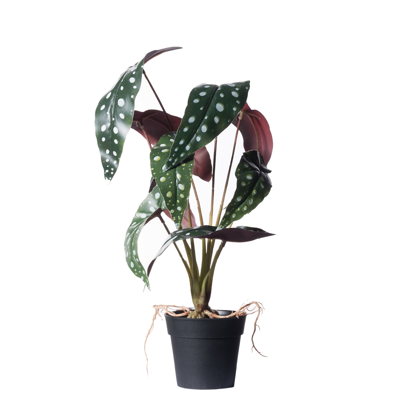 Supergreens Τεχνητό Φυτό Μπιγκόνια Malucata Πράσινο 40 εκ.