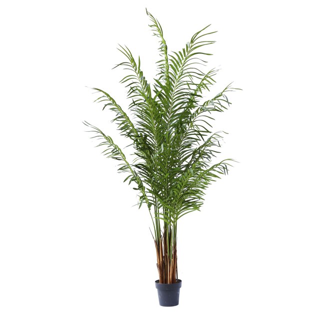 Supergreens Τεχνητό Δέντρο Αρέκα Πράσινο 210 εκ.