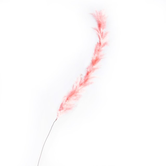 Supergreens Τεχνητό Κλαδί Φτερό Ροζ 120 εκ.