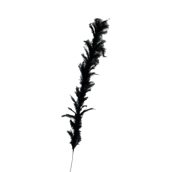 Supergreens Τεχνητό Κλαδί Φτερό Μαύρο 120 εκ.