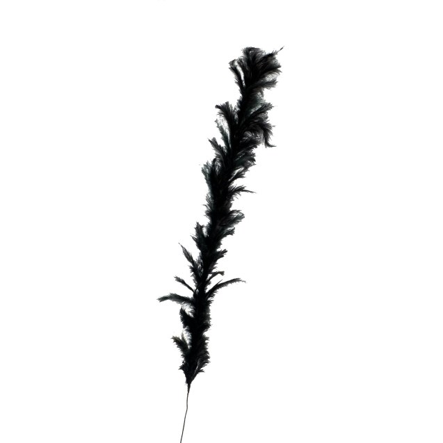Supergreens Τεχνητό Κλαδί Φτερό Μαύρο 120 εκ.