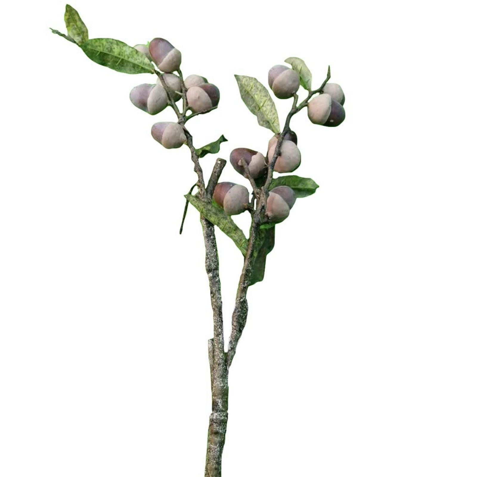 Supergreens Τεχνητό Κλαδί Βελανίδι Καφέ 73 εκ.