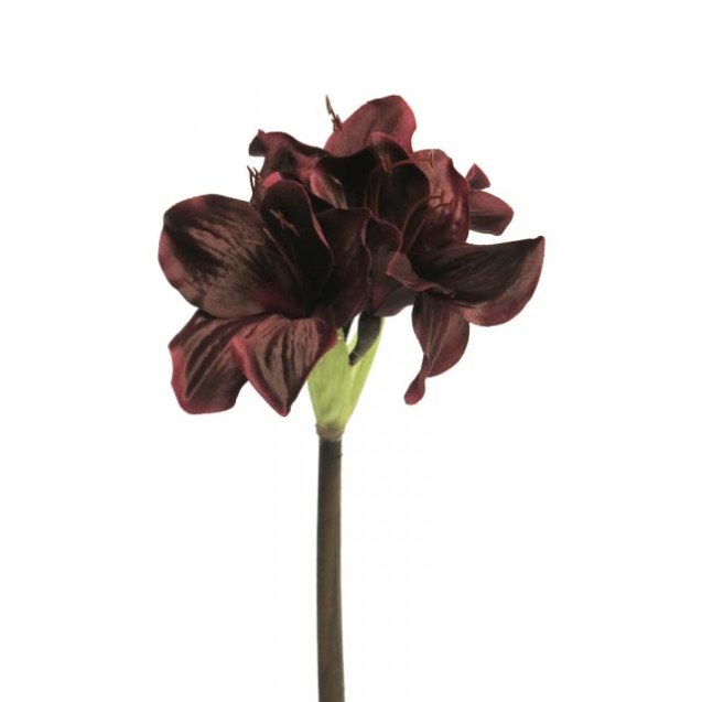 Supergreens Τεχνητό Κλωνάρι Αμαρυλλίς Μπορντώ...