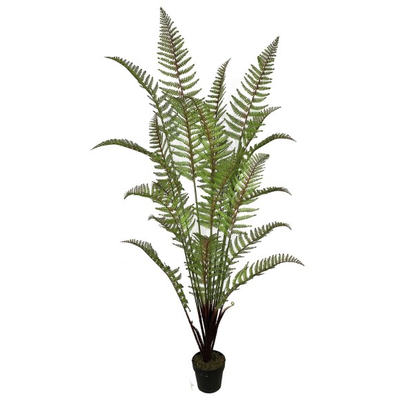 Supergreens Τεχνητό Δέντρο Φτέρη Πράσινο 180 εκ.