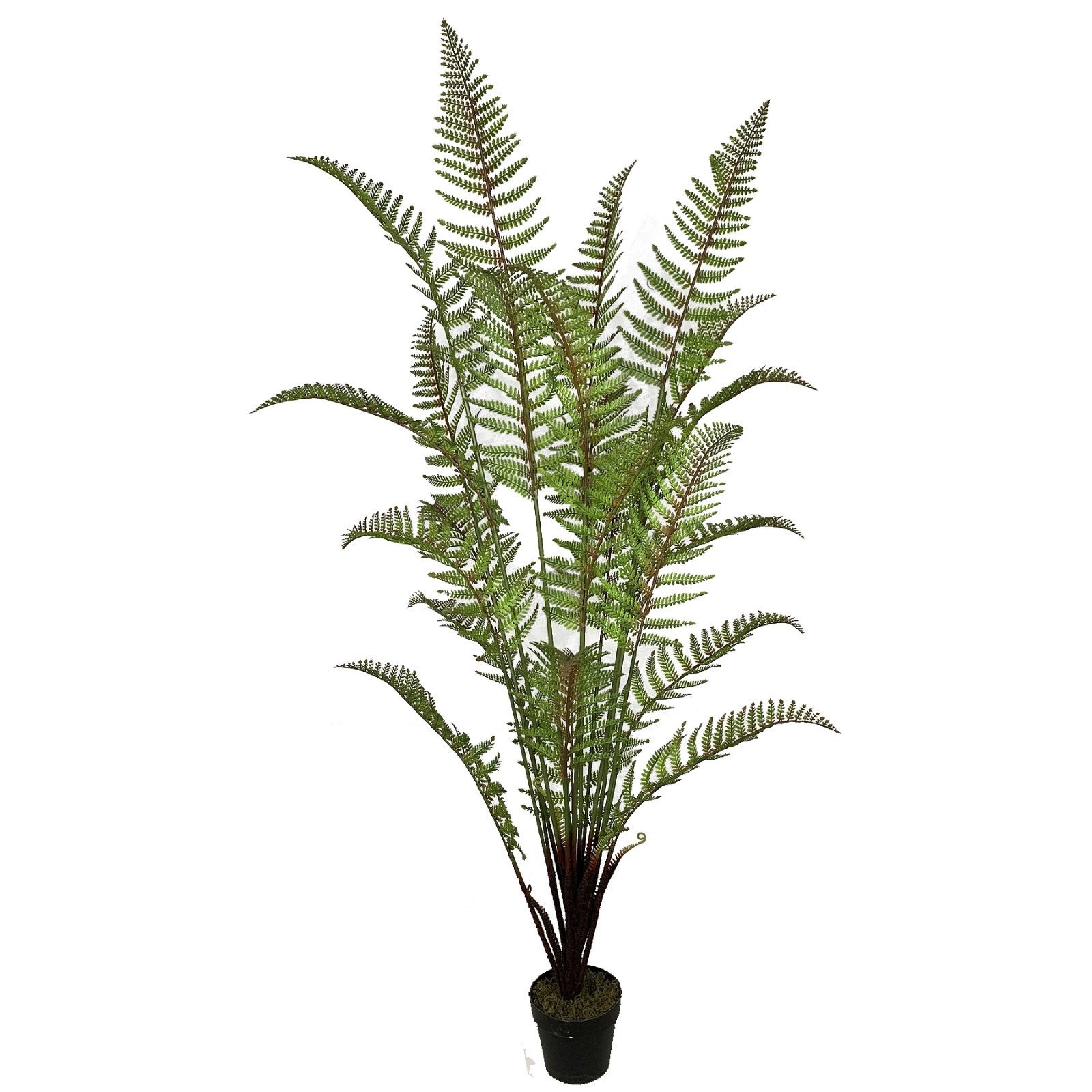 Supergreens Τεχνητό Δέντρο Φτέρη Πράσινο 180 εκ.