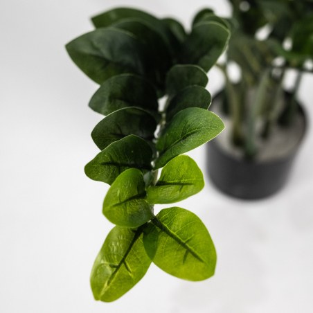 Supergreens Τεχνητό Φυτό Ζάμια "Verdant" Πράσινο 80 εκ.