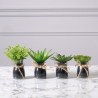 Supergreens Τεχνητό Φυτό Παχύφυτο Assorted 11 εκ.