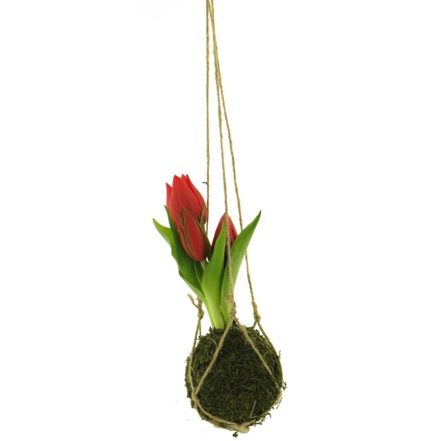 Supergreens Τεχνητή Κρεμαστή Τουλίπα Κόκκινη 22...