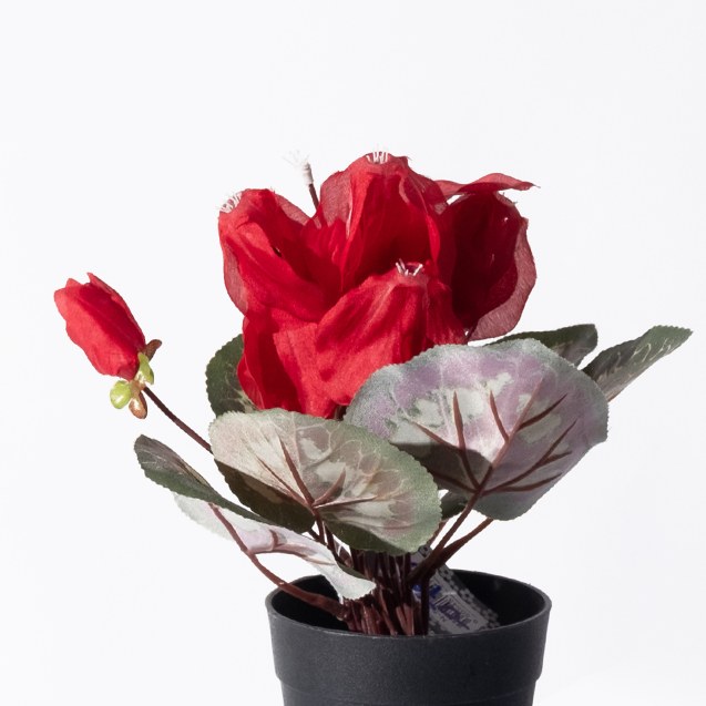 Supergreens Τεχνητό Φυτό Κυκλάμινο Κόκκινο 28 εκ.