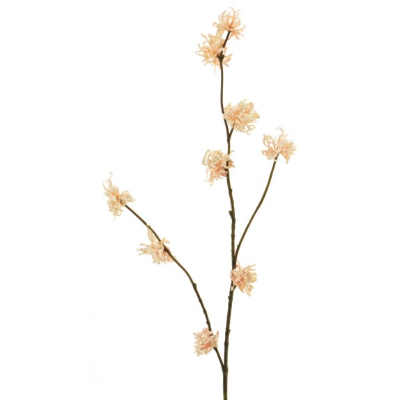 Supergreens Τεχνητό Κλωνάρι Αμαμελίδα Μπεζ 79 εκ.