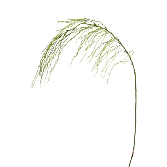 Supergreens Τεχνητό Κλαδί Ρους Πράσινο154 εκ.