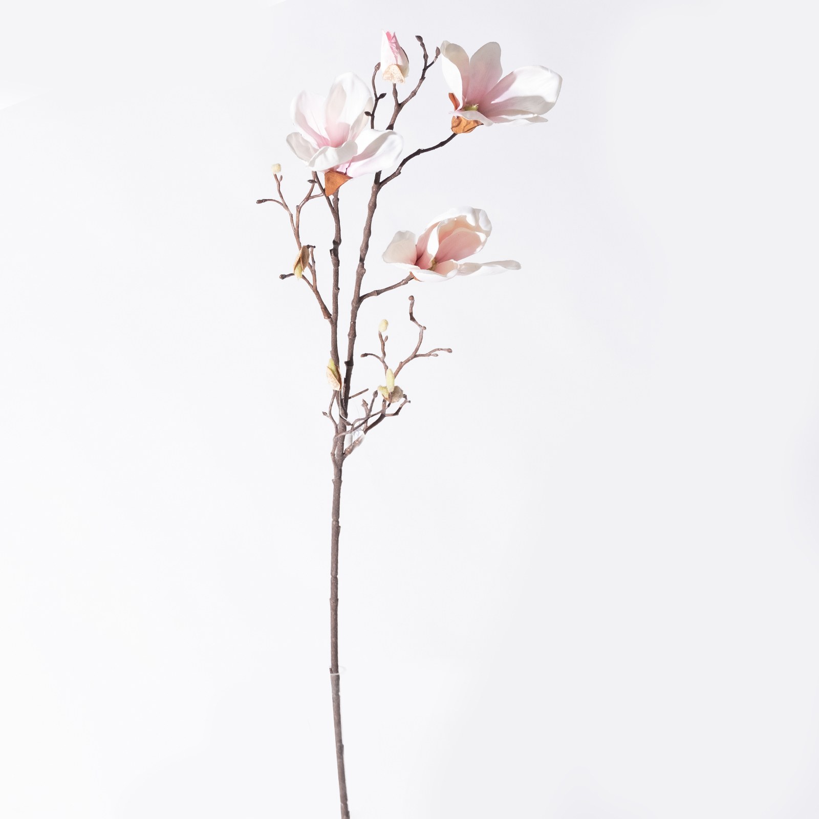 Supergreens Τεχνητό Κλωνάρι Μανόλια Μπεζ 85 εκ.