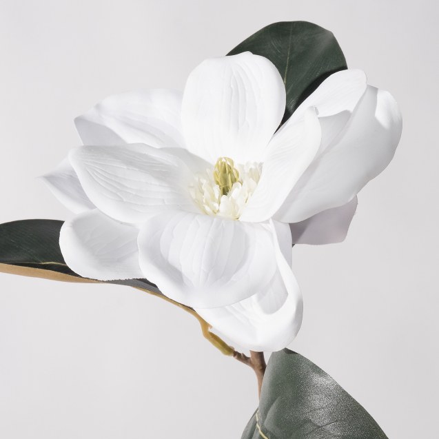 Supergreens Τεχνητό Κλωνάρι Μανόλια Λευκό 70 εκ.