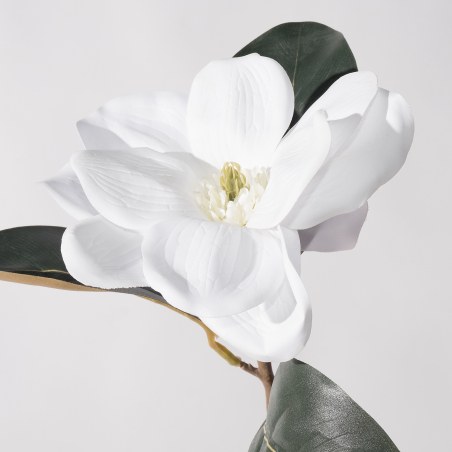 Supergreens Τεχνητό Κλωνάρι Μανόλια Λευκό 70 εκ.