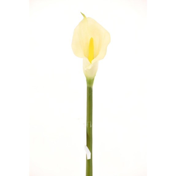 Supergreens Τεχνητό Κλωνάρι Κάλλα Λευκό 76 εκ.