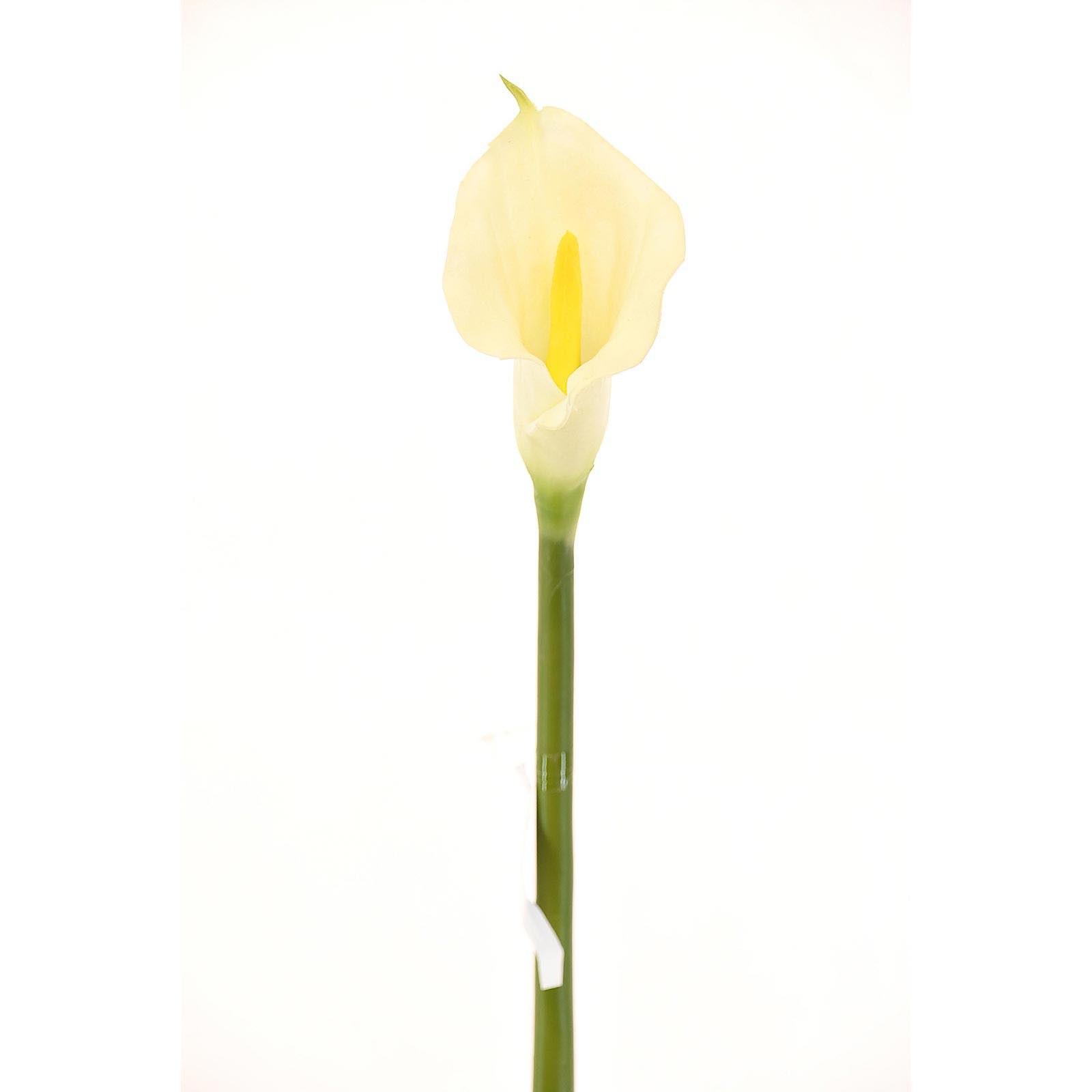 Supergreens Τεχνητό Κλωνάρι Κάλλα Λευκό 76 εκ.