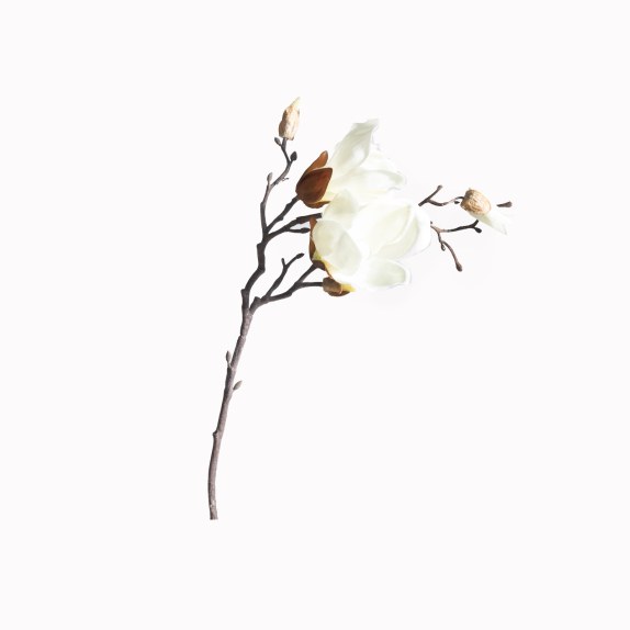 Supergreens Τεχνητό Κλωνάρι Μανόλια "Pistil" Λευκό 50 εκ.