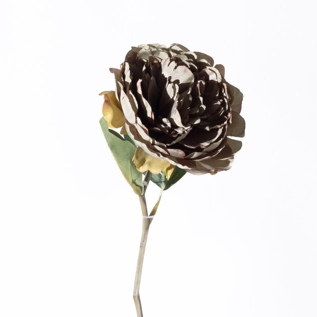 Supergreens Τεχνητό Κλωνάρι Παιώνια Πράσινη 34 εκ.