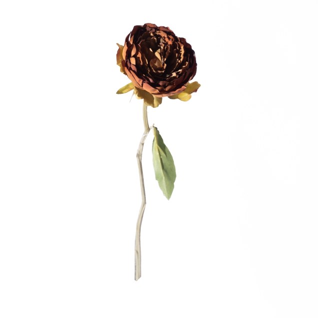 Supergreens Τεχνητό Κλωνάρι Παιώνια Μπεζ 34 εκ.