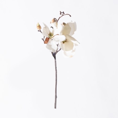 Supergreens Τεχνητό Κλωνάρι Μανόλια Λευκό 50 εκ.