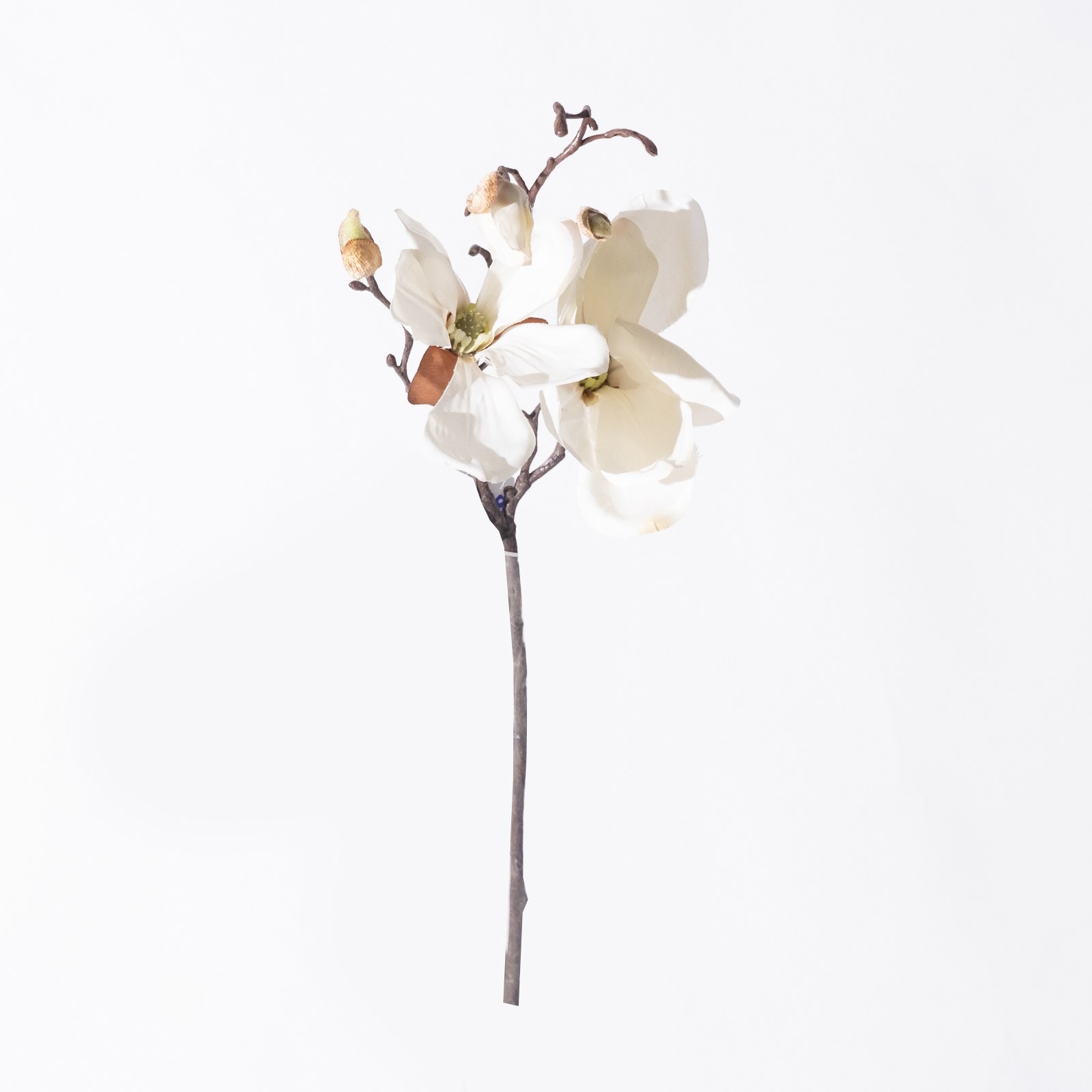 Supergreens Τεχνητό Κλωνάρι Μανόλια Λευκό 50 εκ.