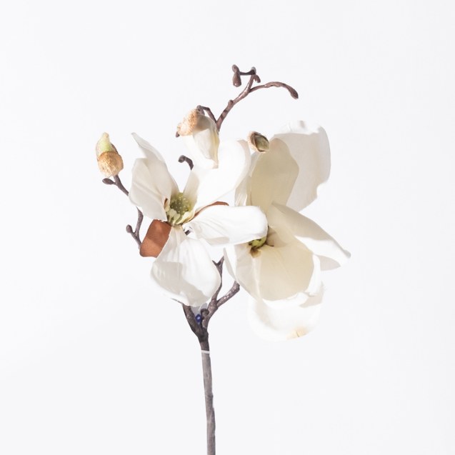 Supergreens Τεχνητό Κλωνάρι Μανόλια Λευκό 50 εκ.