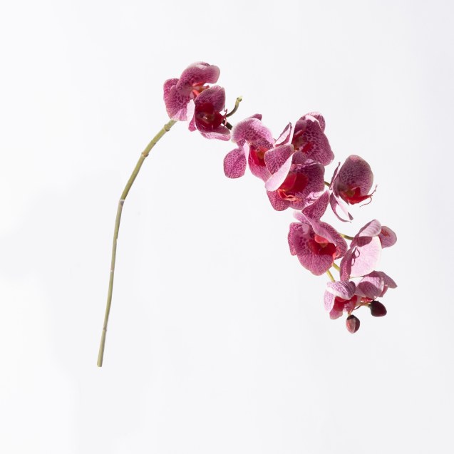 Supergreens Τεχνητό Κλωνάρι Ορχιδέα Άσπρο/Μωβ...