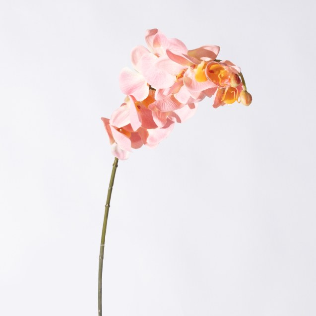 Supergreens Τεχνητό Κλωνάρι Ορχιδέα Ροζ 75 εκ.