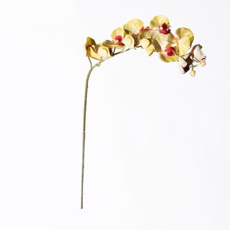 Supergreens Τεχνητό Κλωνάρι Ορχιδέα Πράσινο 75 εκ.