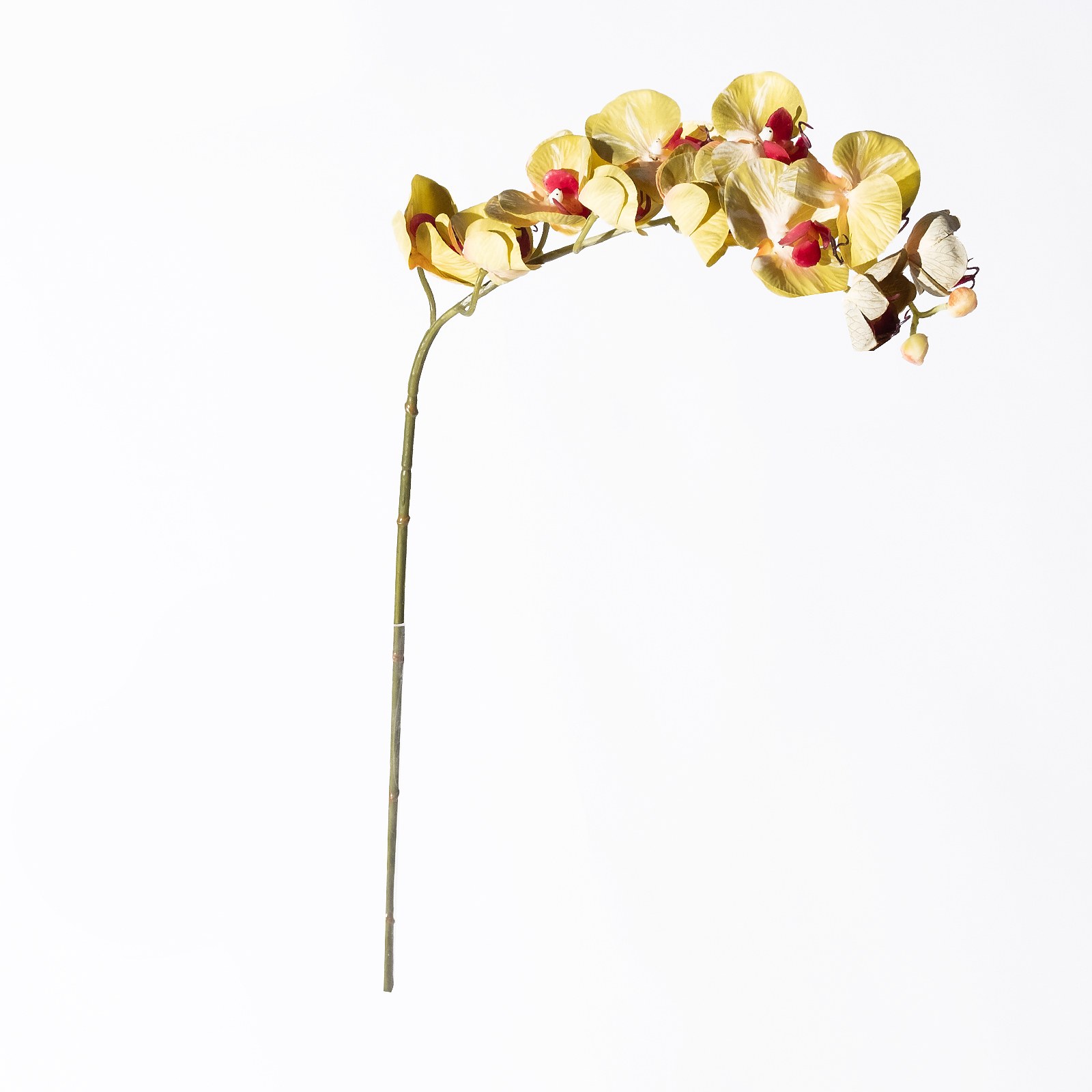 Supergreens Τεχνητό Κλωνάρι Ορχιδέα Πράσινο 75 εκ.