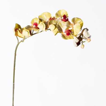 Supergreens Τεχνητό Κλωνάρι Ορχιδέα Πράσινο 75 εκ.