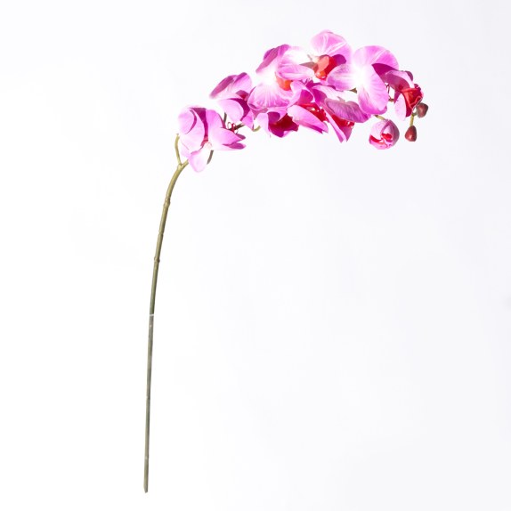 Supergreens Τεχνητό Κλωνάρι Ορχιδέα Φούξια 75 εκ.