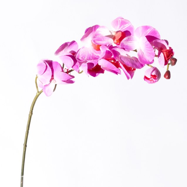 Supergreens Τεχνητό Κλωνάρι Ορχιδέα Φούξια 75 εκ.