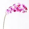 Supergreens Τεχνητό Κλωνάρι Ορχιδέα Φούξια 75 εκ.