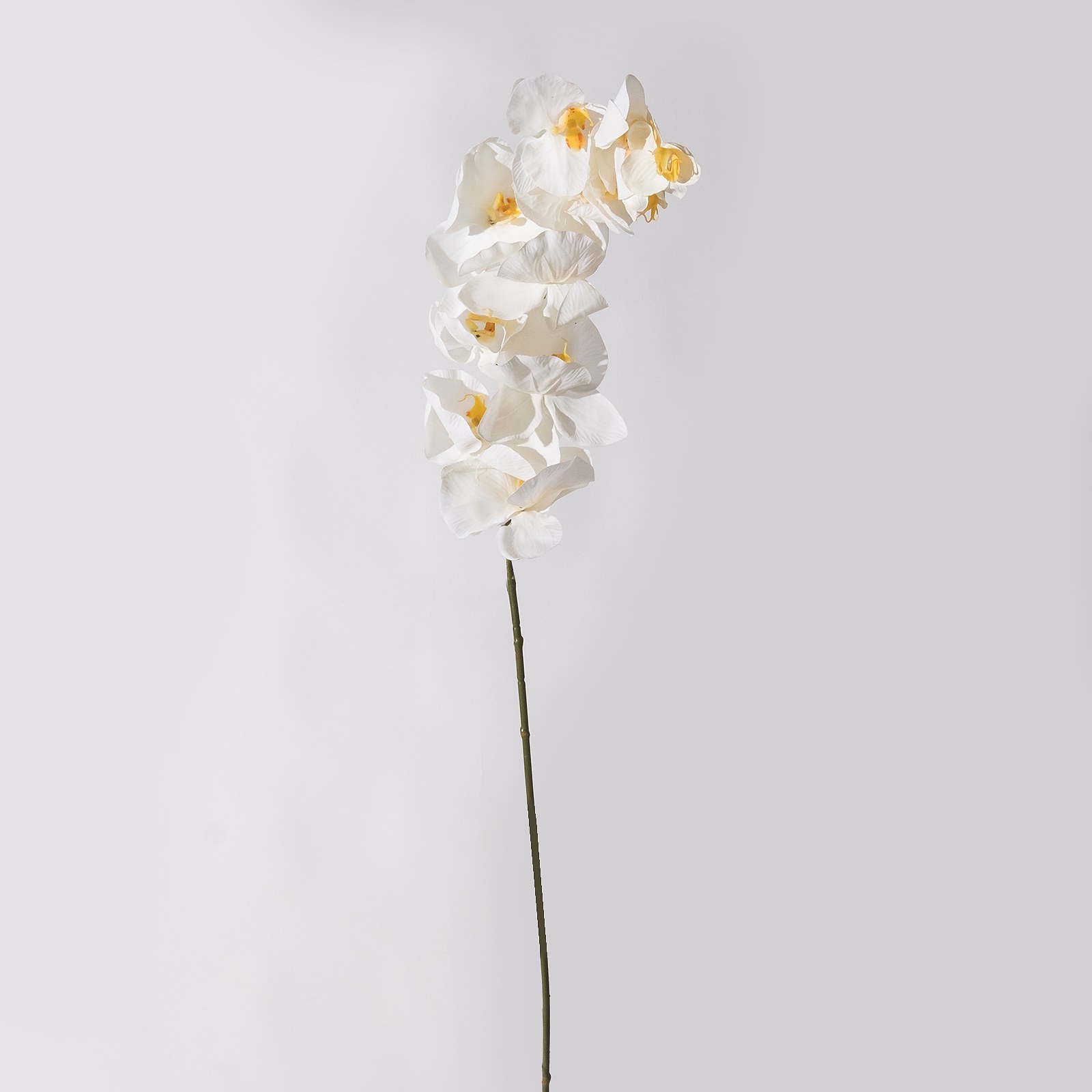 Supergreens Τεχνητό Κλωνάρι Ορχιδέα Λευκή 112 εκ.
