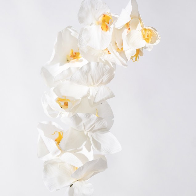 Supergreens Τεχνητό Κλωνάρι Ορχιδέα Λευκή 112 εκ.