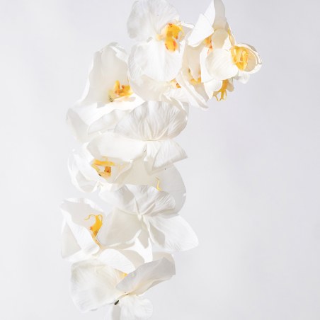 Supergreens Τεχνητό Κλωνάρι Ορχιδέα Λευκή 112 εκ.