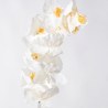 Supergreens Τεχνητό Κλωνάρι Ορχιδέα Λευκή 112 εκ.